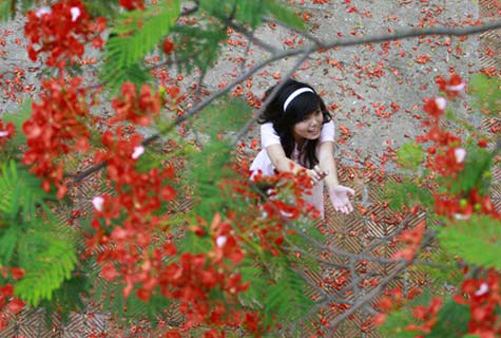 Phượng yêu
